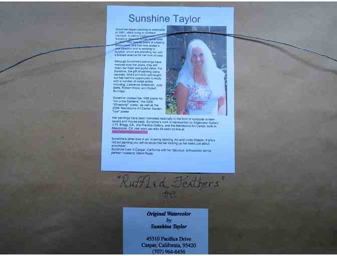 Ruffled Feathers (watercolor with Ink, framed, 15'W x 12'H), Sunshine Taylor