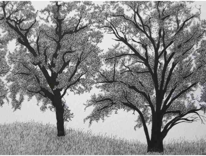 Round Valley Oaks, 2013 (numbered print, 20'W x 11'H), David Weitzman