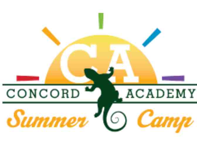 Concord Academy Summer Camp -- 1 Week of Day Camp