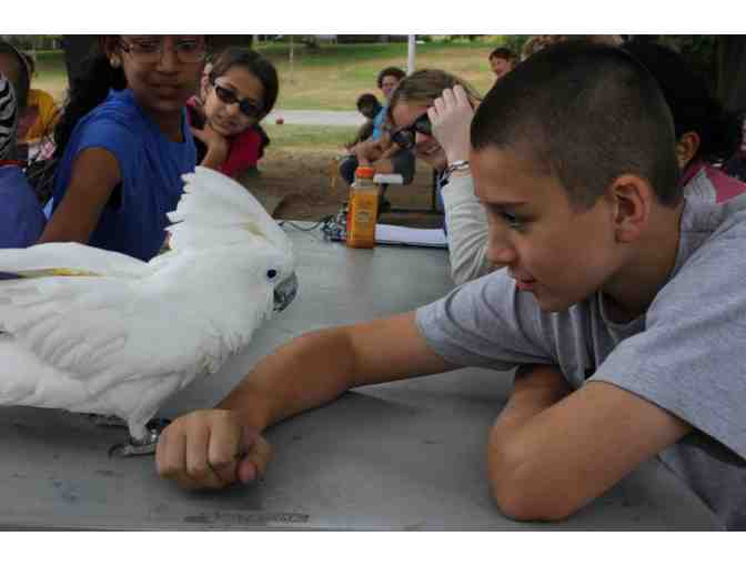 Marcus Lewis Day Camp -- 1 Week Junior Discovery or Teen Exploration Camp