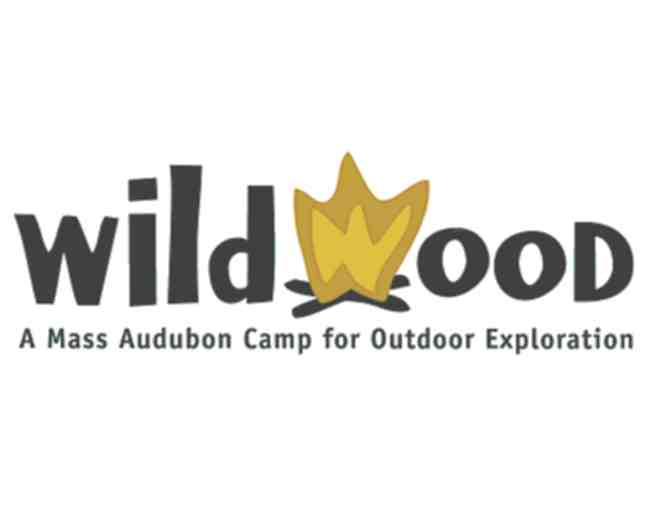 Mass Audubon's Wildwood Camp - Family Camping Trip