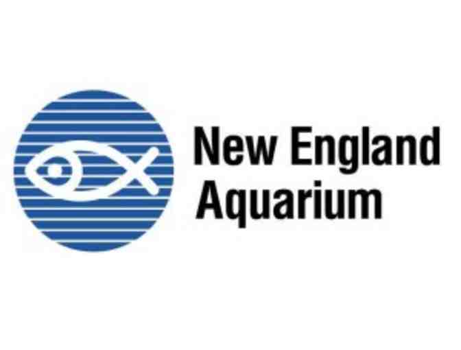 2 Admission Passes to the New England Aquarium