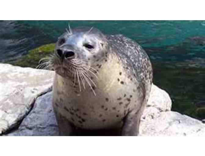 2 Admission Passes to the New England Aquarium