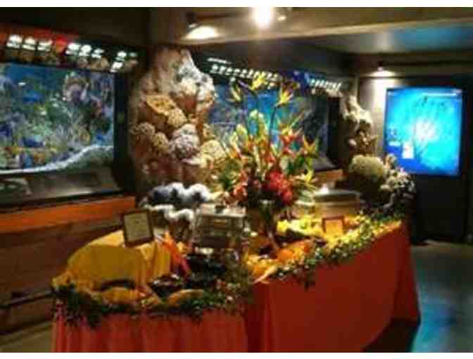 2 Admission Passes to the New England Aquarium