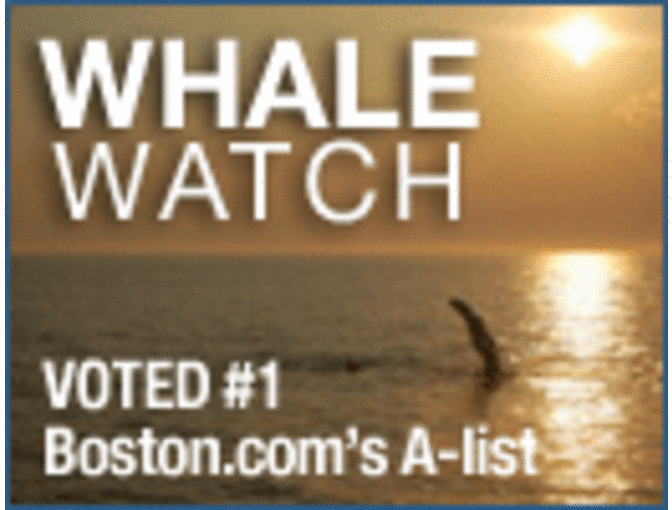 2 Admission Passes to the New England Aquarium