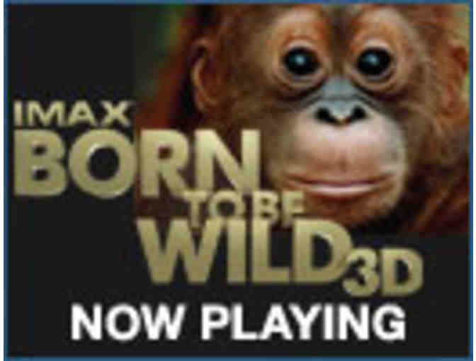 2 Admission Passes to the New England Aquarium