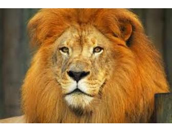 Hyatt  Waterfront Paradise on Florida Gulf Coast