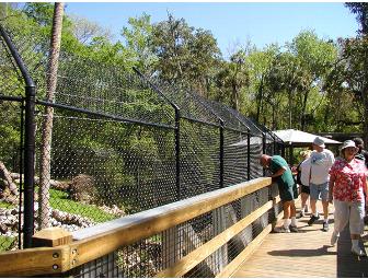 Hyatt  Waterfront Paradise on Florida Gulf Coast