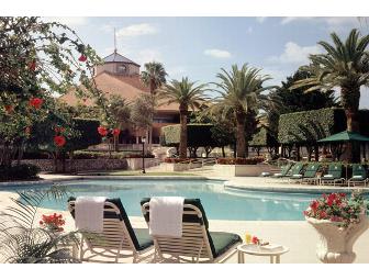 Miami Weekend Delight