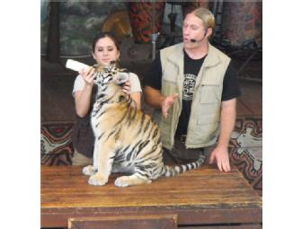 Enjoy a VIP Experience Downtown Miami Hotel and Attraction