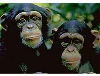 Destination South of Miami and a Weekend Where Speed is King