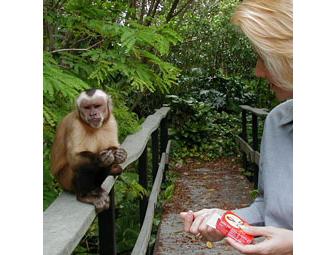 Destination South of Miami and a Weekend Where Speed is King