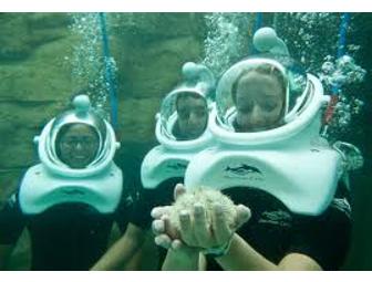 See it From A Fish's Point of View and Sleep in Luxury