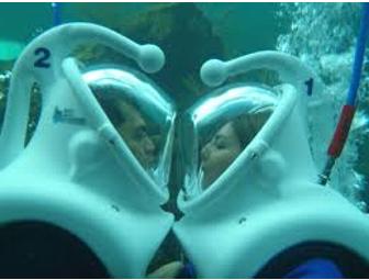 See it From A Fish's Point of View and Sleep in Luxury