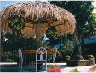 Sand, Sea and Outer Space