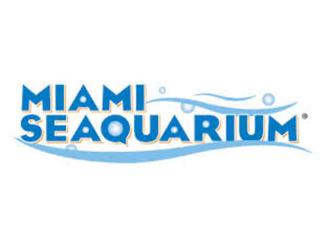 Loews Miami Beach Hotel/Art Deco Walking Tour/Seaquarium Dolphin Encounter