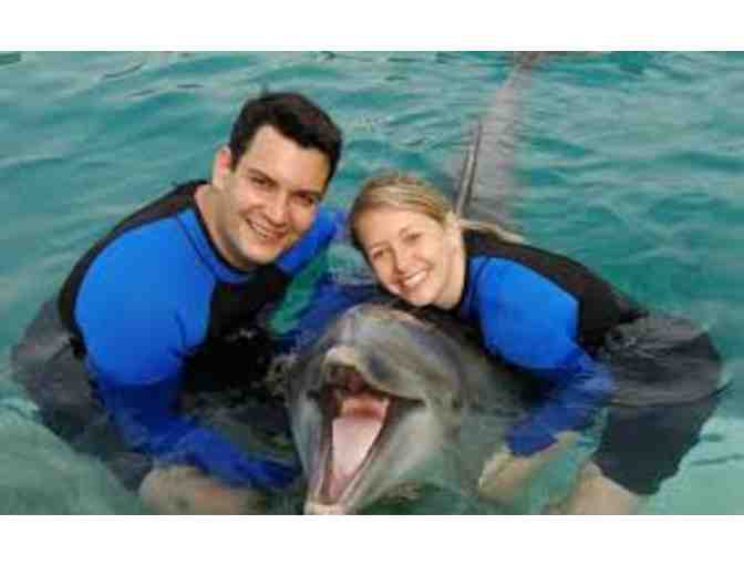Dream Miami South Beach/Seaquarium Dolphin Encounter