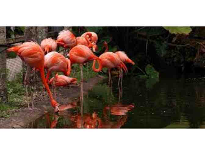 W by Marriott Boutique Hotel &amp; Flamingo Gardens Wildlife Sanctuary - Photo 9