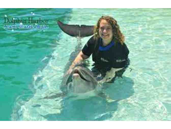 Miami Seaquarium Dolphin Encounter RETAIL $340