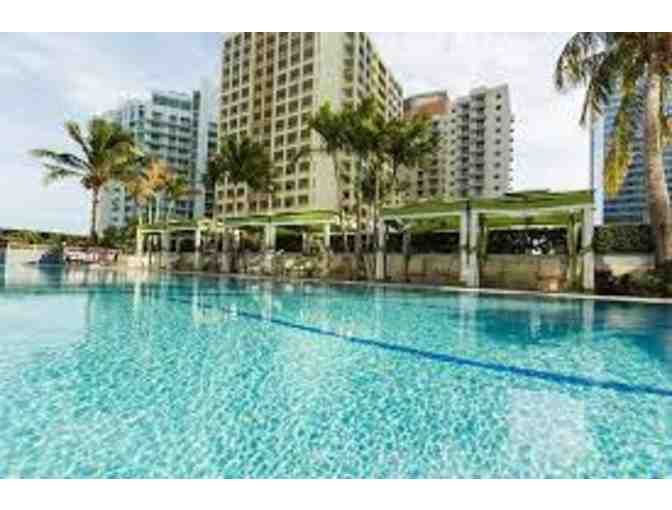 Hotel AKA Brickell and Miami Seaquarium Swim with the Dolphins Experience