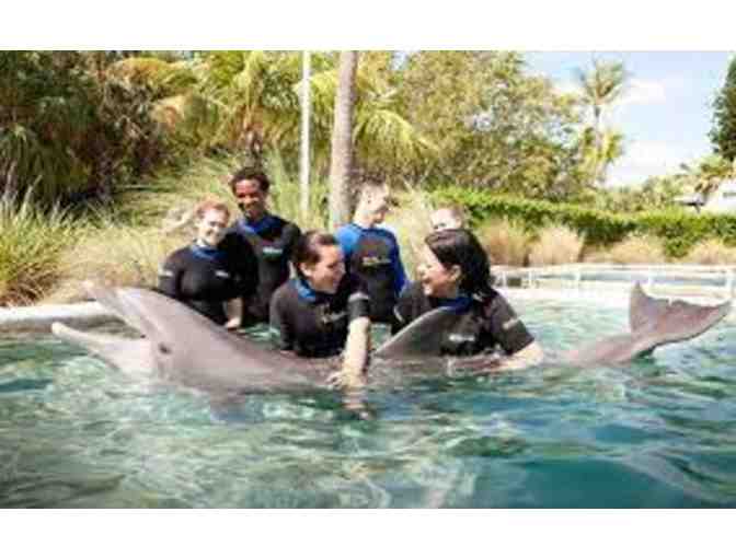 Hotel AKA Brickell and Miami Seaquarium Swim with the Dolphins Experience