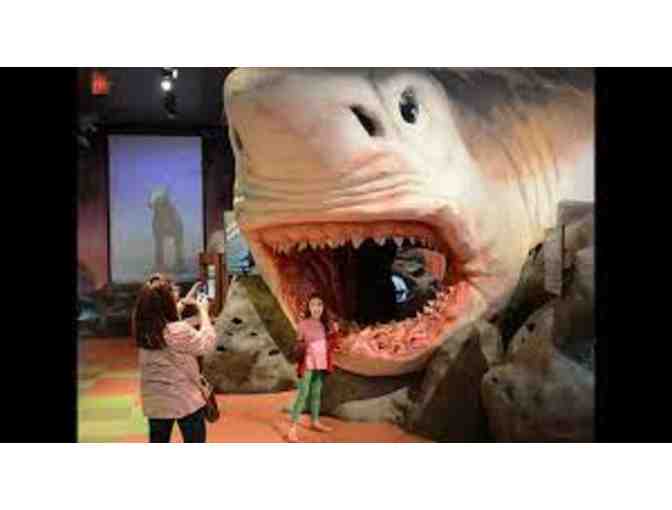 Museum of Discovery and Science Admissions Ft. Lauderdale