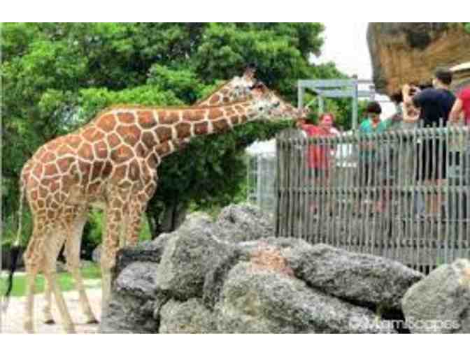 Marriott Dadeland and Zoo Miami
