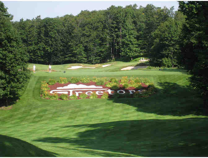 Tree Tops Resort 2 night stay and Golf Package - Gaylord - Photo 1