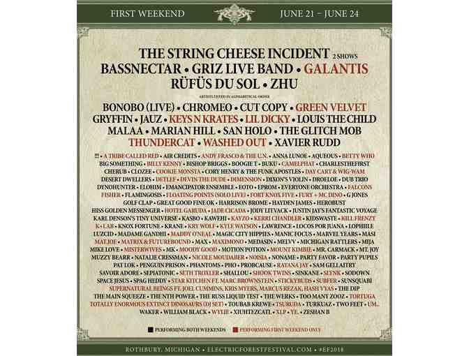 Electric Forest Music Festival: Two (2) Weekend Of Choice Passes & Camping (Rothbury, MI) - Photo 4