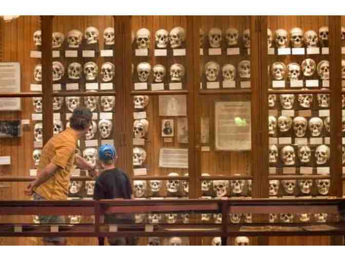 Family Membership to the Mutter Museum