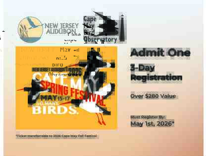 3-Day Festival Admission