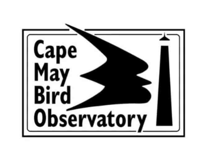 Shorebirds & Shore Finds