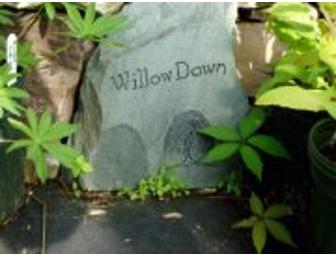 $25 Gift Certificate to WillowDown Nursery