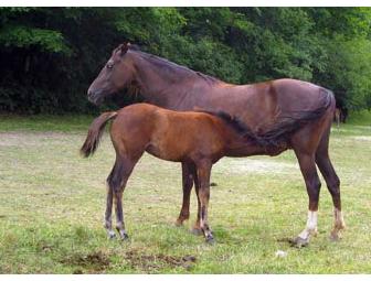 Personalized Note Cards