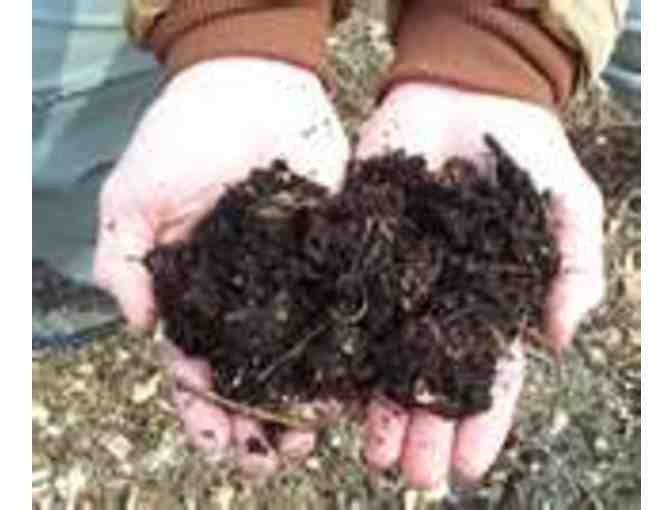 1 YARD -All Purpose Compost - Vt. Natural Ag Products - Photo 1