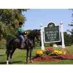 Morgan Horse Farm
