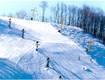 Skiing at Nub's Nob--4 Any Day Adult Lift Vouchers