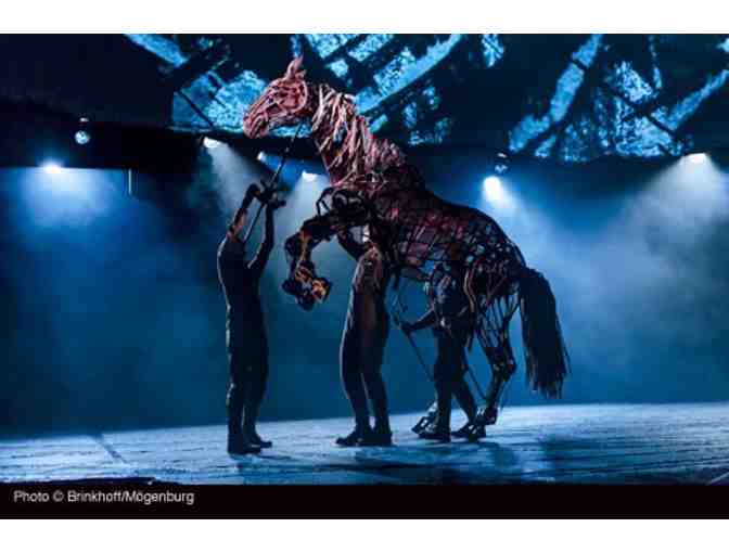 War Horse Tickets @ The Fisher Theatre