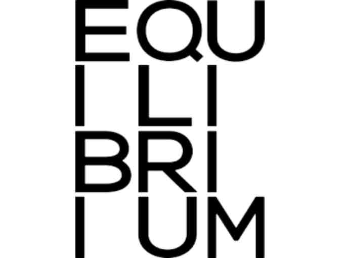 Equilibrium Studio-Private Pilates Party for 15