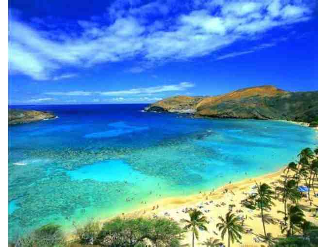 A Tropical Trip for 2! Travel to Maui & the Big Island - 6 night hotel/air package