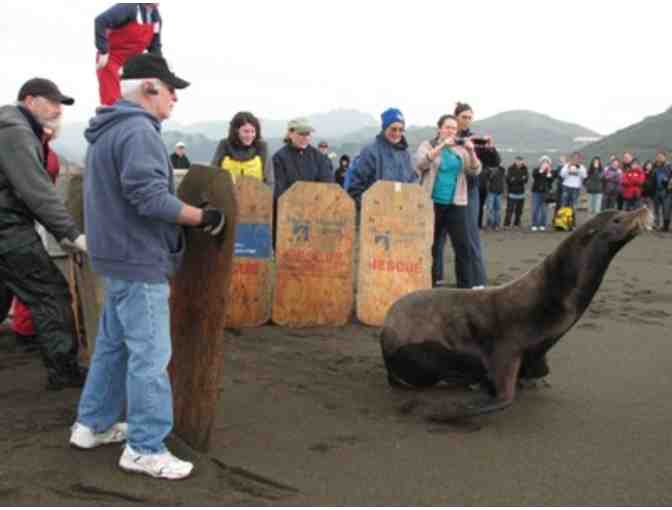 Seal Release