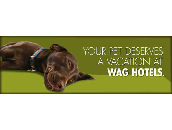 Wag Pet Hotel in San Francisco