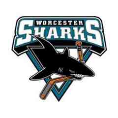 Worcester Sharks