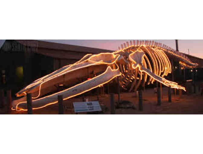 Seymour Marine Discovery Center - Four (4) Admission Passes