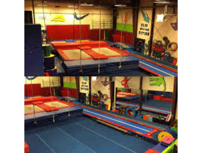 Vargas Academy of Gymnastics Arts & Parkour Open Punch Card