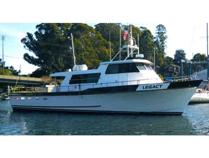 Santa Cruz Whale Watching - One (1) Adult Trip