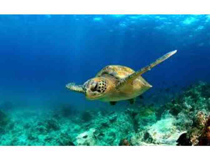 Two (2) Tickets to the Monterey Bay Aquarium