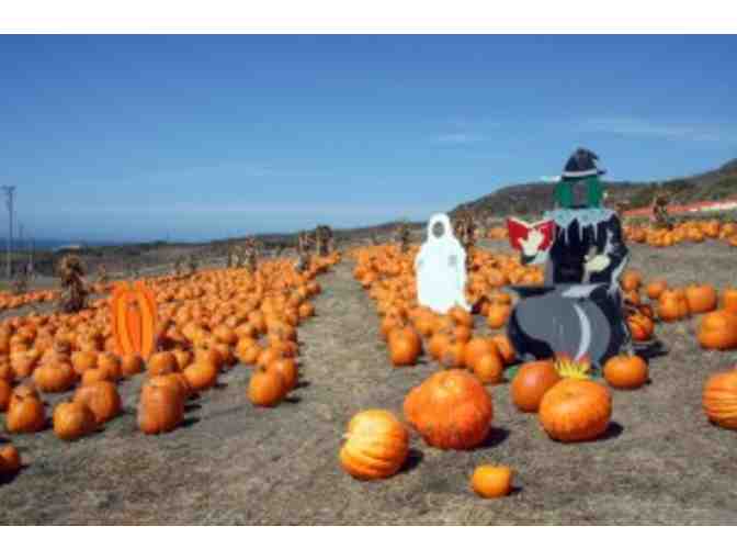 Rodoni Farms Pumpkin Patch Gift Certificate