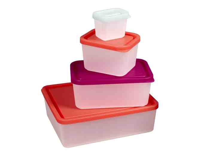 Lunch Box Set of 4 Lunch Containers - Sorbet + Two (2) Bento Cool Packs