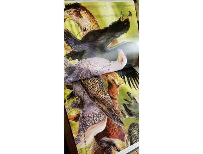 Harry Potter Illustrated Collector Series Book Collection